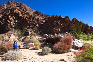 Anza Borrego-8649